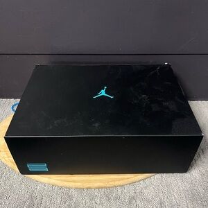 BRAND NEW JORDAN 11 GAMMA SIZE 7 290 LOWEST